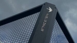 Lees meer over het artikel Padel leren spelen?